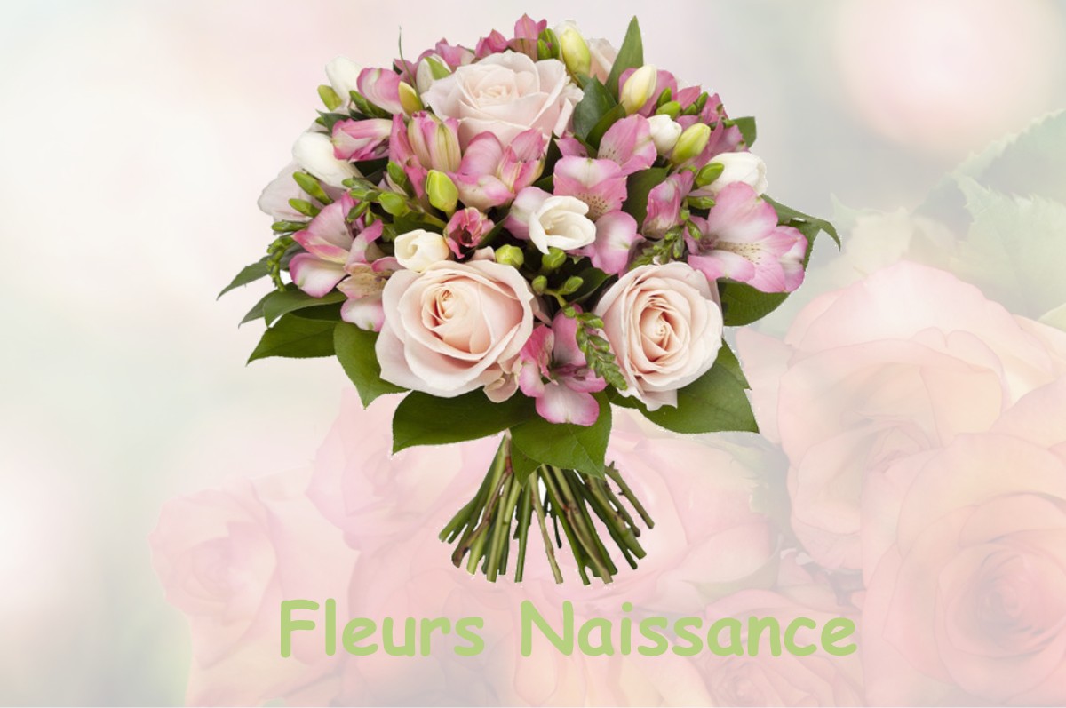 fleurs naissance SAINT-PIERRE-DE-MAILLOC